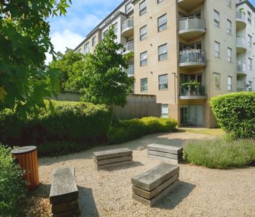 One Bedroom Flat to let in Walthamstow - Photo 2