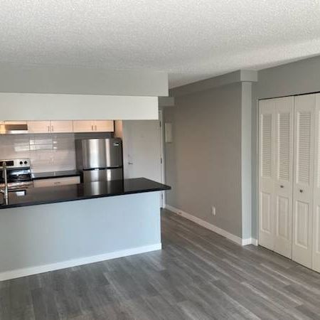 Newly Renovated Two Bedroom Suite for Rent - Photo 4