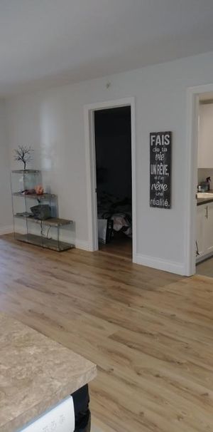 Grand 4 ½ + pièce de rangement / bureau – Charlesbourg Nord – Disponible 1er avril - Photo 1