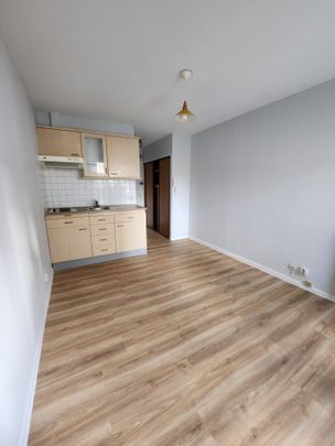 Location Appartement 1 pièce 18m² CLERMONT FERRAND 63000 - Photo 1