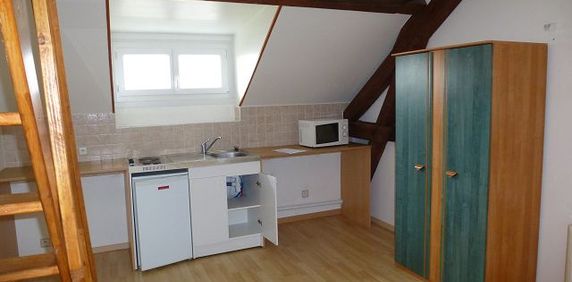 Location Appartement 1 pièce 21m² REIMS 51100 - Photo 2