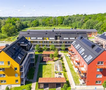 Sagogatan 1A - Foto 4