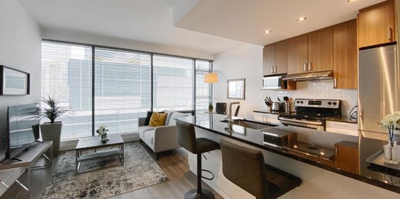 1 chambre - 1380 René-Lévesque Ouest, Montréal - Photo 3