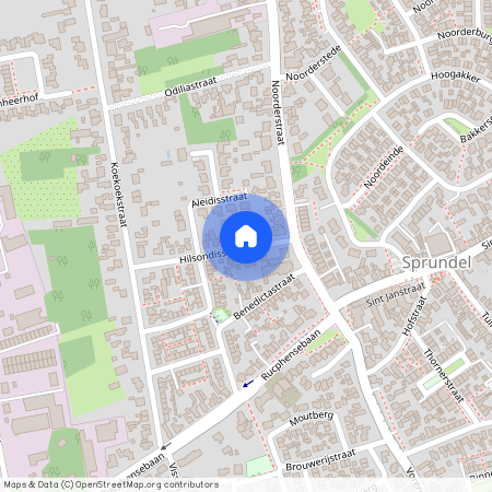 Hilsondisstraat, 4714AM Sprundel