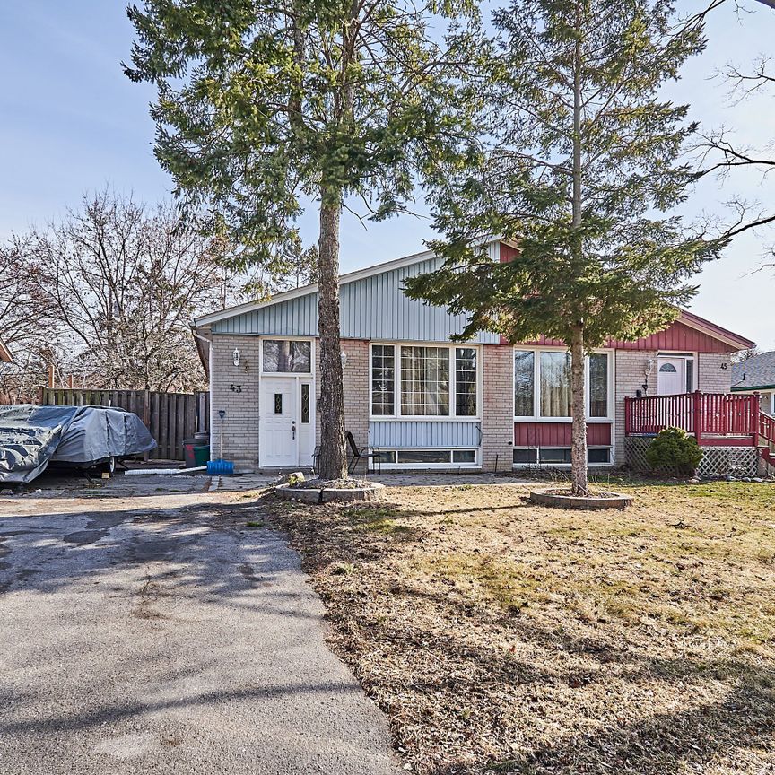 For Lease - 43 Billingsgate Crescent Unit# Bsmt, Ajax, Ontario - Photo 1