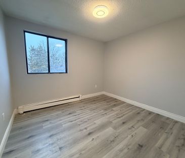 For Lease - 49 Taylor Avenue, Chatham-Kent, Ontario - Photo 5