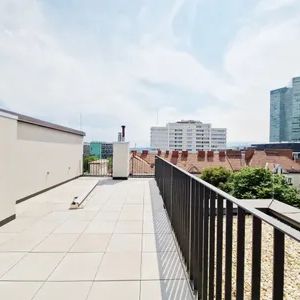 Extravagant - Dachterrasse - Wienblick - Photo 3