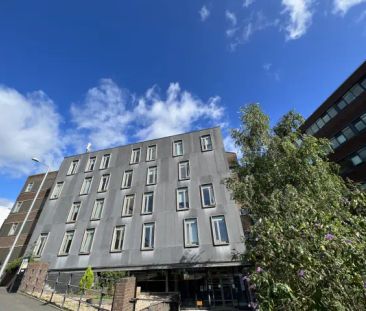 Gold Studio - Photo 6