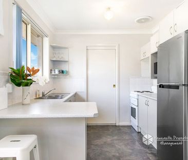 3/2 Teramby Road, Hamilton - Photo 1