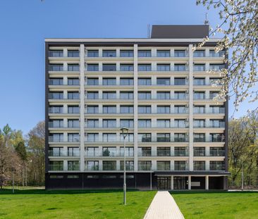 Pronájem bytu 2+kk 39 m², Okrajová, Havířov - Photo 6
