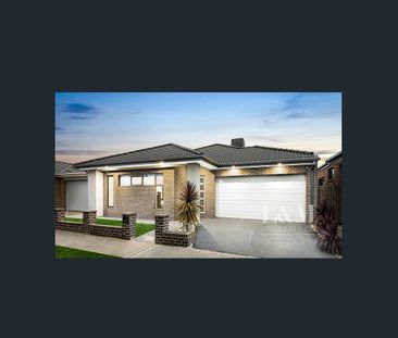 Don't miss out...!! - Photo 3