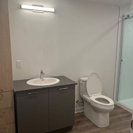 1 CH - 1 SDB - Terrebonne - $1,775 /mo - Photo 4