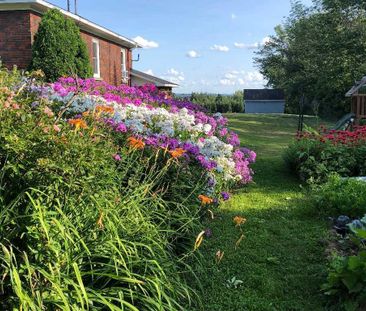 Appartement 3-1/2 à St-Denis de Brompton - Photo 3
