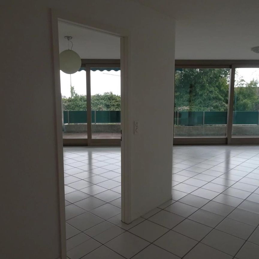 5.5 Zimmer, 180 m², 1. Stock - Foto 1