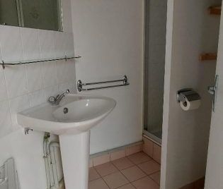 Appartement à louer, 1 pièce - Angers 49000 - Photo 3