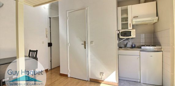 VILLEJUIF : appartement T1 à louer - Photo 2