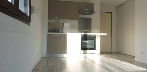Location appartement 2 pièces 31.1 m² à Sallanches (74700) - Photo 2