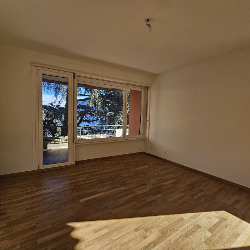 4.5 locali di fronte al lago di Lugano - Photo 1