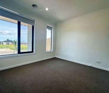 BRAND NEW 4 Bedroom Home with SOLAR PANELS! - Photo 4