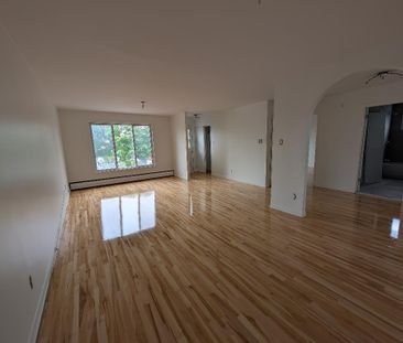 Grand 5 1/2 RÉNOVÉ St-Léonard - Photo 2
