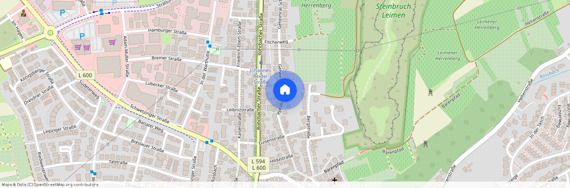 Geheimrat-Schott-Straße 32, 69181 Leimen