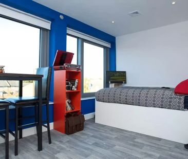 Premium Plus Studio - Photo 5