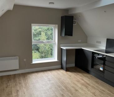 1 Bedroom Apartment To Let - Photo 2