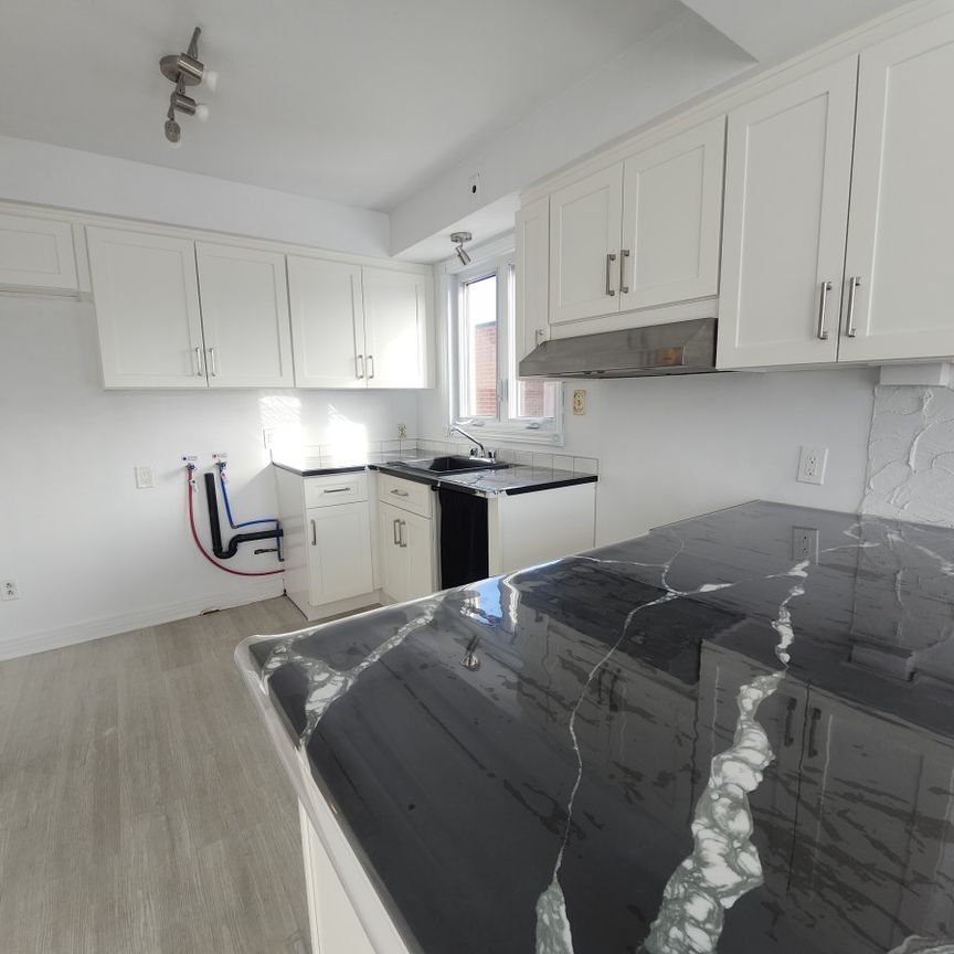 842 Rue Prieur Est - Photo 1