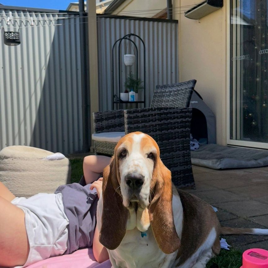 North Plympton - Photo 1