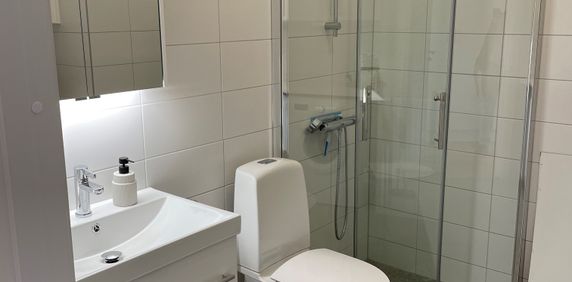 Gasverksgatan 38 B - Foto 2