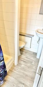 Studio Flat, Grays Inn Road, WC1X - Photo 3