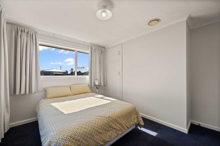 Solid Stobo - Photo 4