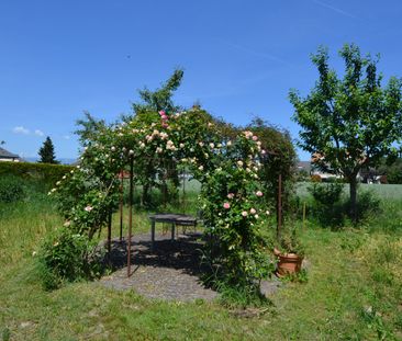 2.5 Zimmer, 60 m² - Photo 4