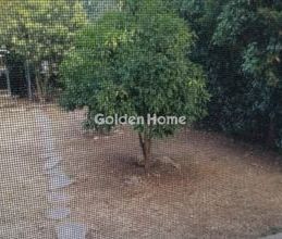 Μεζονέτα για ενοικίαση - Γέρακας, - Photo 3