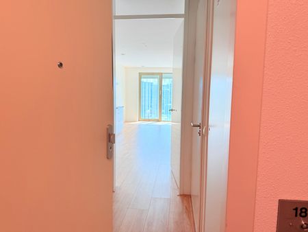 Te huur: Heathrowstraat 358 - Foto 3
