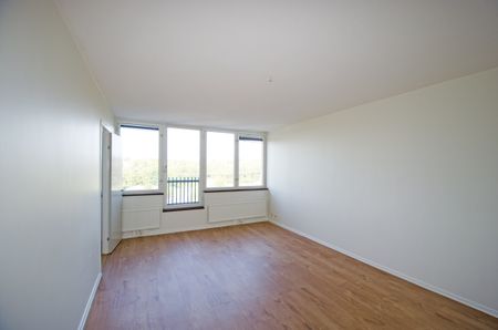 Galileis Gata 2 - Photo 2