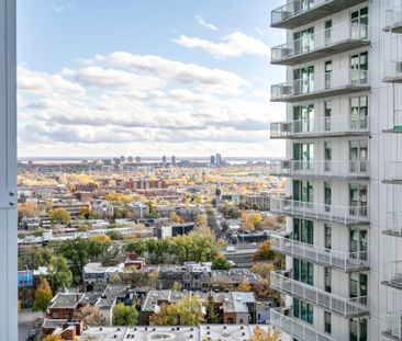 Appartement à louer - Photo 2
