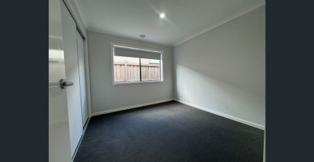 Daintree Delight in Donnybrook - Photo 4