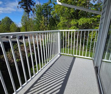 ONE MONTH FREE newer renovated units walking distance to everything !! - Photo 1