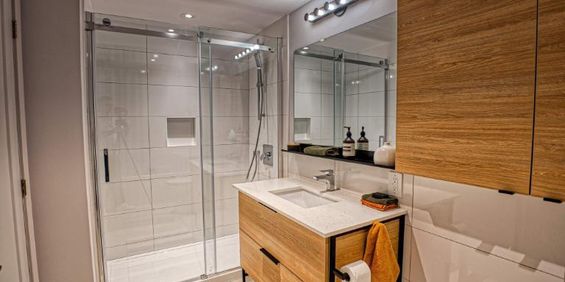 2 CH - 1 SDB - Montreal - $2,150 /mo - Photo 3