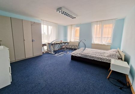 Apartament pet friendly langa Parcul Feroviarilor - Fotografie 3