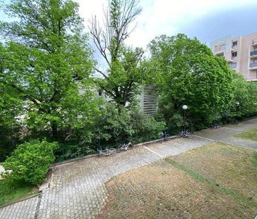 Location appartement 1 pièce 20.4 m² à Montpellier (34000) - Photo 4