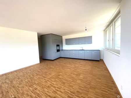Neu erstellte Attikawohnung mit atemberaubender Aussicht - Photo 2