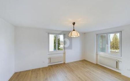 Wohnung in Scherzingen - Photo 3