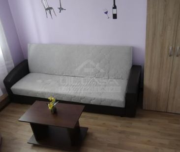 Garsoniera moderna Alexandru - Photo 1