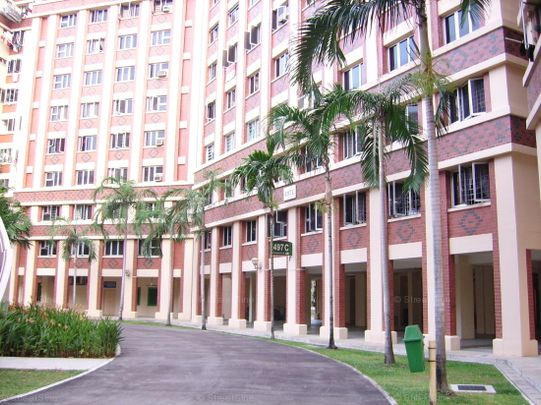 Blk 497C Tampines Street 45 (Tampines), HDB 4 Rooms - For Rent - Photo 1