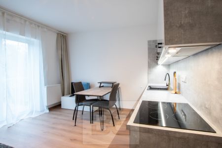 Pronájem bytu 1+kk a garsoniéry 22 m² - Fotografie 4