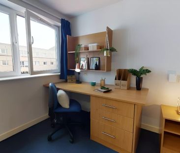 Platinum Studio Plus - Photo 6