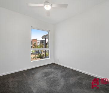 26 Toeplitz Street, Whitlam ACT 2611 - House For Rent | Domain - Photo 5