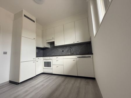 Luminoso appartamento 2.5 locali RISTRUTTURATO a Mendrisio - Photo 2